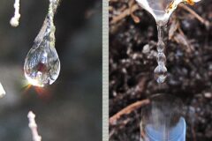 04-12 - Spiel mit Tropfen